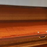 Mid century shoe cabinet