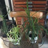 Old metal wire basket