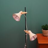 Floor lamp, Danish design, 1970s, production: Denmark