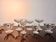 7 Baccarat glasses