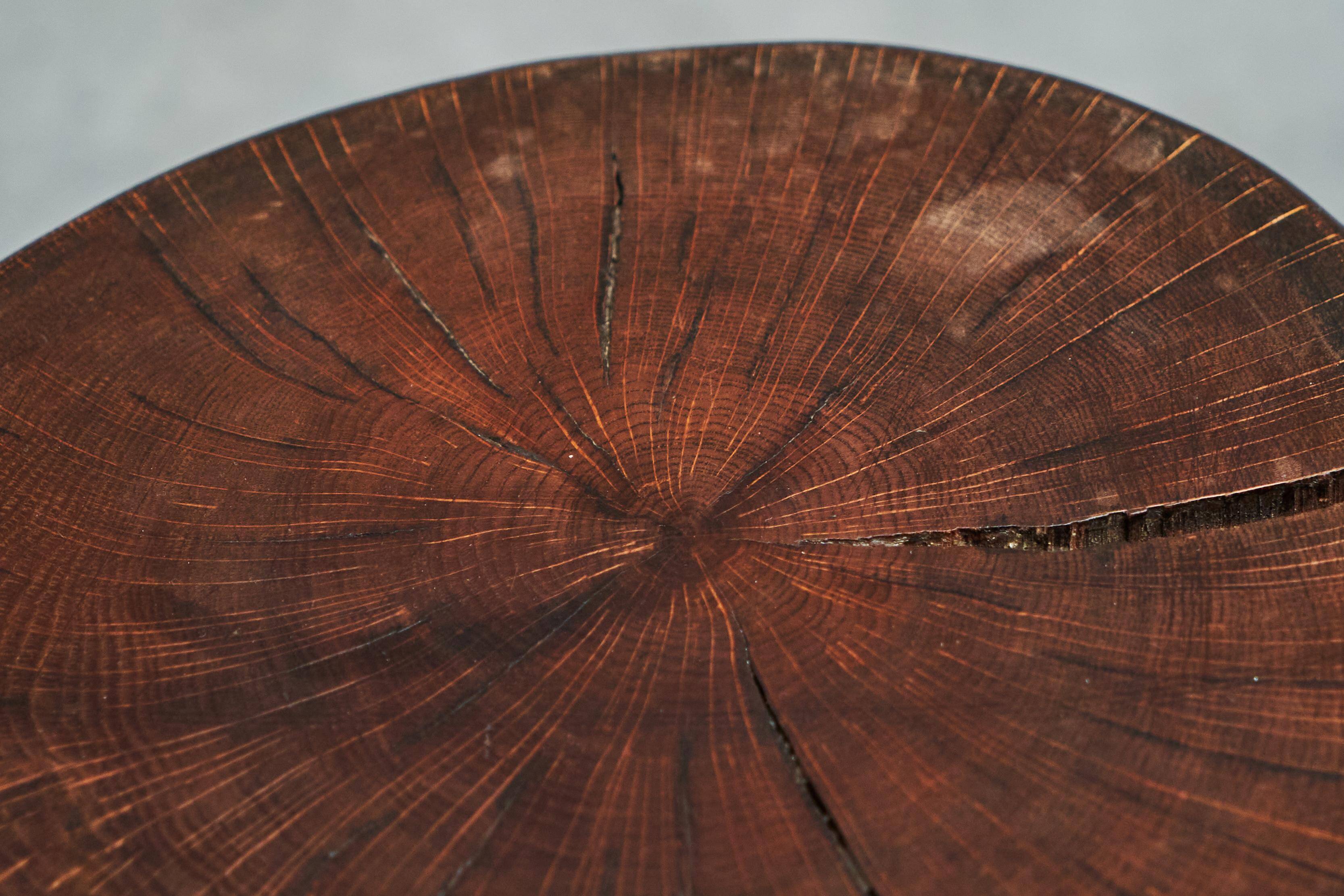 Tree Stump Stool or Solid Wood and Wrought Iron Side Table, Mid-Century