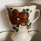 6 coffee cups