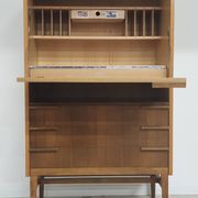 Secretary / Two-tone desk Frantisek Mezulanik for Up Zavody 1960