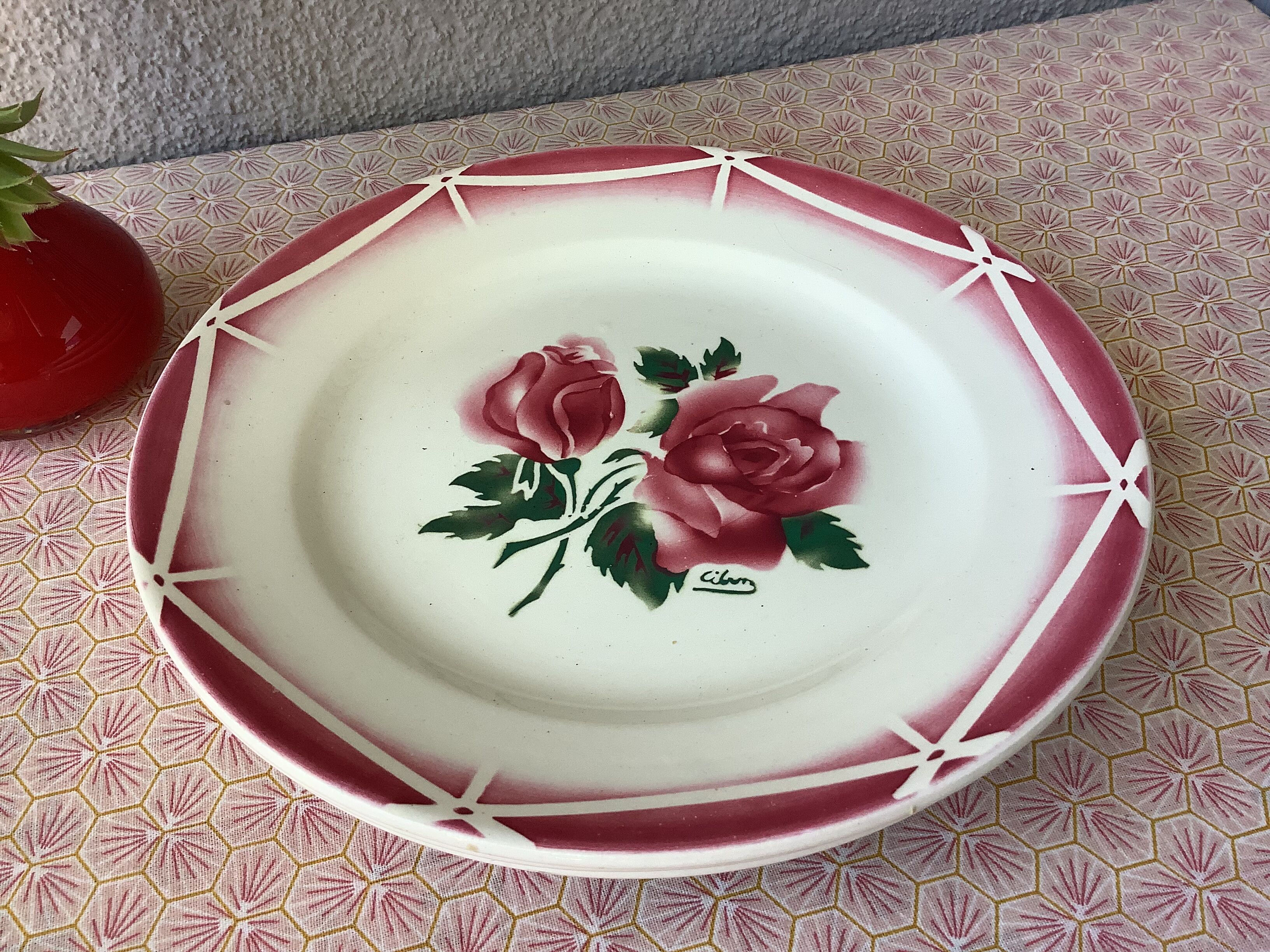 Plates Digoin Cibon Ironstone floral decoration