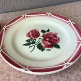 Plates Digoin Cibon Ironstone floral decoration