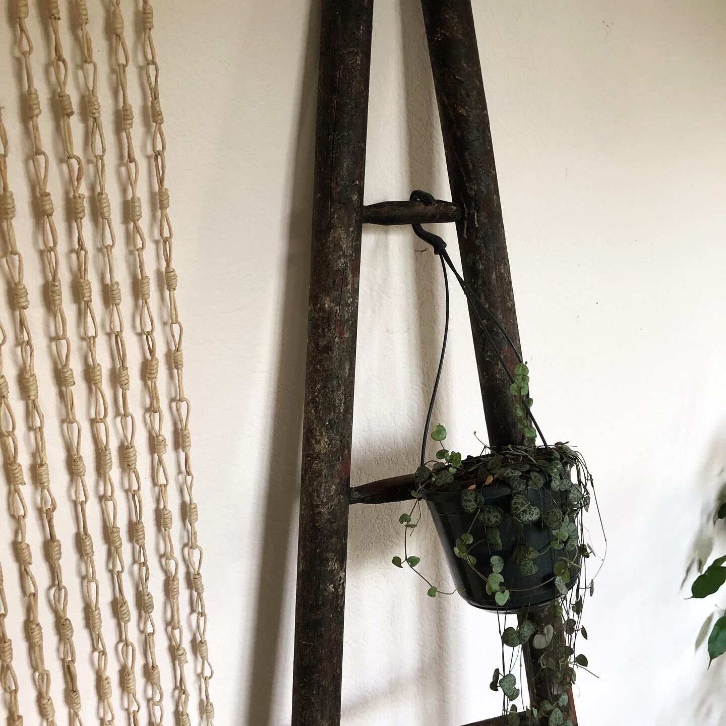 Échelle en bois