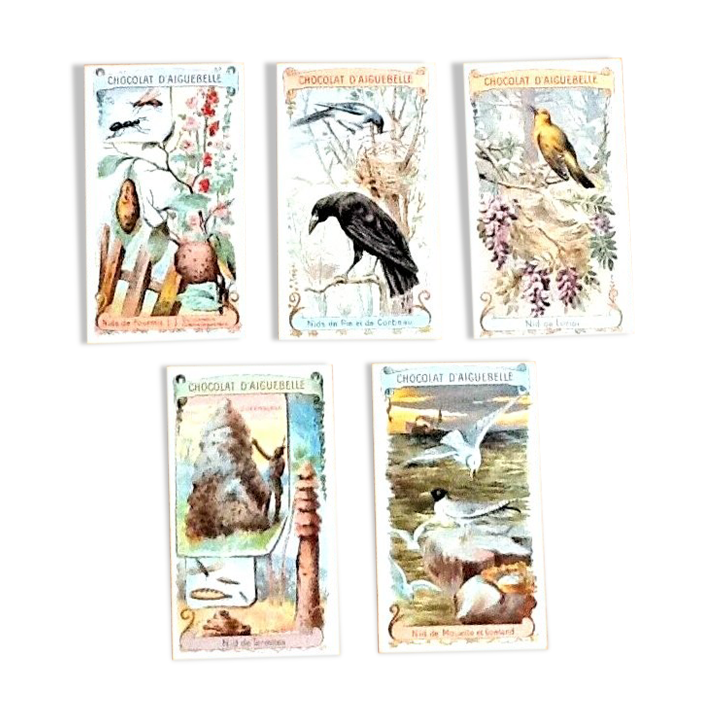 Set of 5 chromolithographs on Aiguebelle chocolate cardboard