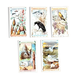 Set of 5 chromolithographs on Aiguebelle chocolate cardboard