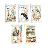 Lot de 5 chromolithographies sur carton Chocolat d'Aiguebelle