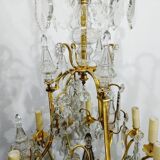 12-light bronze and crystal cage chandelier