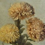 Still Life with Chrysanthemums - French School XIXth - signed - original frame