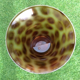 1970s Stool Tam Tam Transparent Leopard print (designer Henry Massonnet)