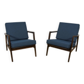 Model 300-139 Armchairs from Swarzędz Furniture Factory, 1960s, Set of 2