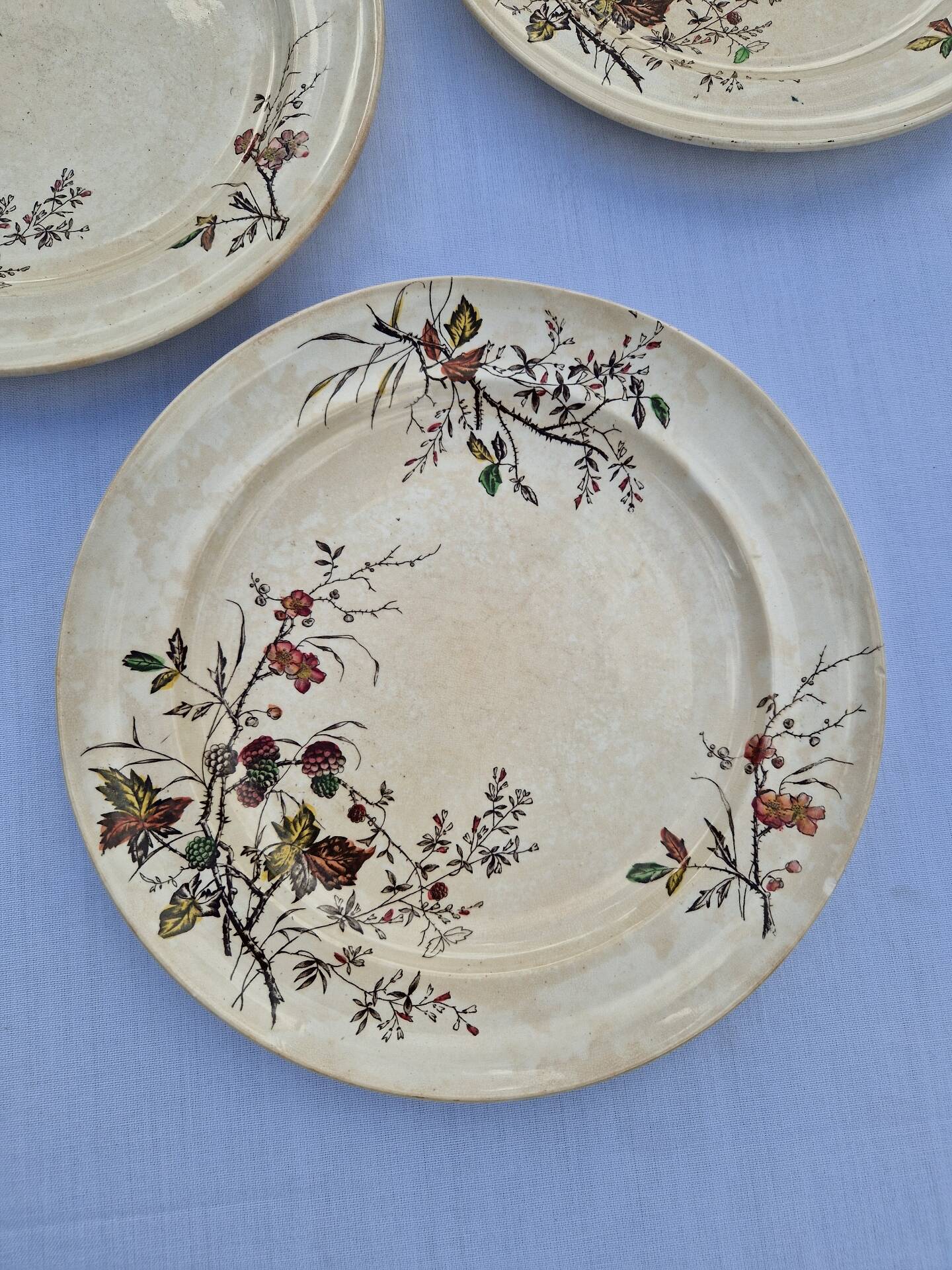 Set of 12 Terre De Fer Plates Manufacture Moore & Co Model Como