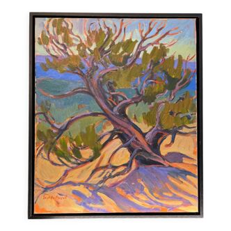 Cedar at high noon, Oil on canvas signed Leigh Gusterson
