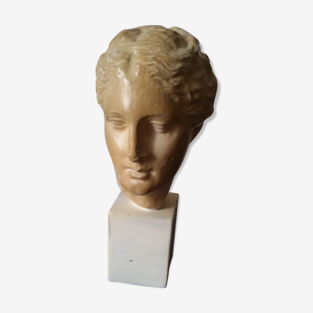 Hygeia plaster bust