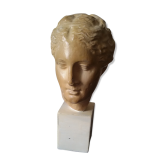 Hygeia plaster bust