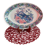 Dish