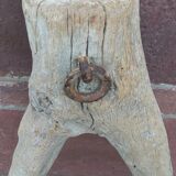 Olive tree working element