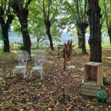 Pomare Chairs