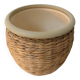 Cache-pot ancien en céramique et jacinthe d’eau