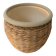 Cache-pot ancien en céramique et jacinthe d’eau