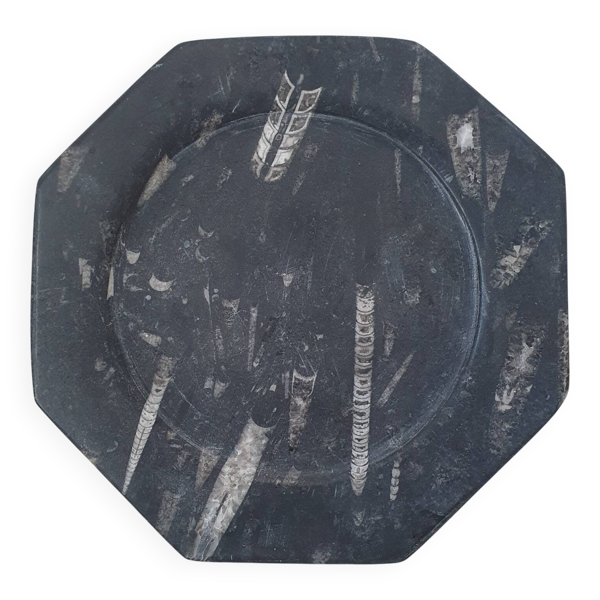 Assiette décorative en marbre fossilisé orthoceras