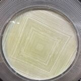 Vintage 70's neon chandelier 2 changeable patterns