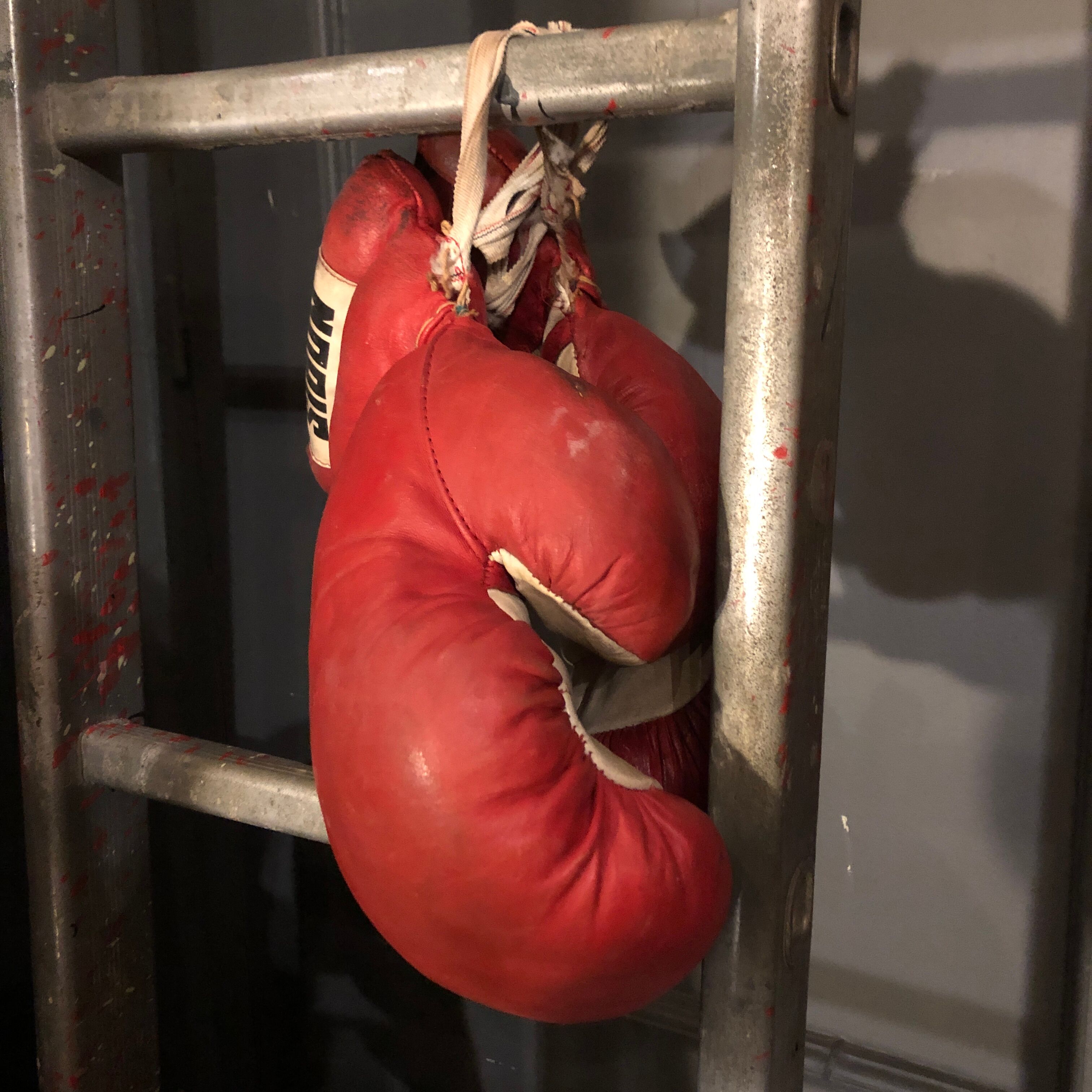 Boxing gloves