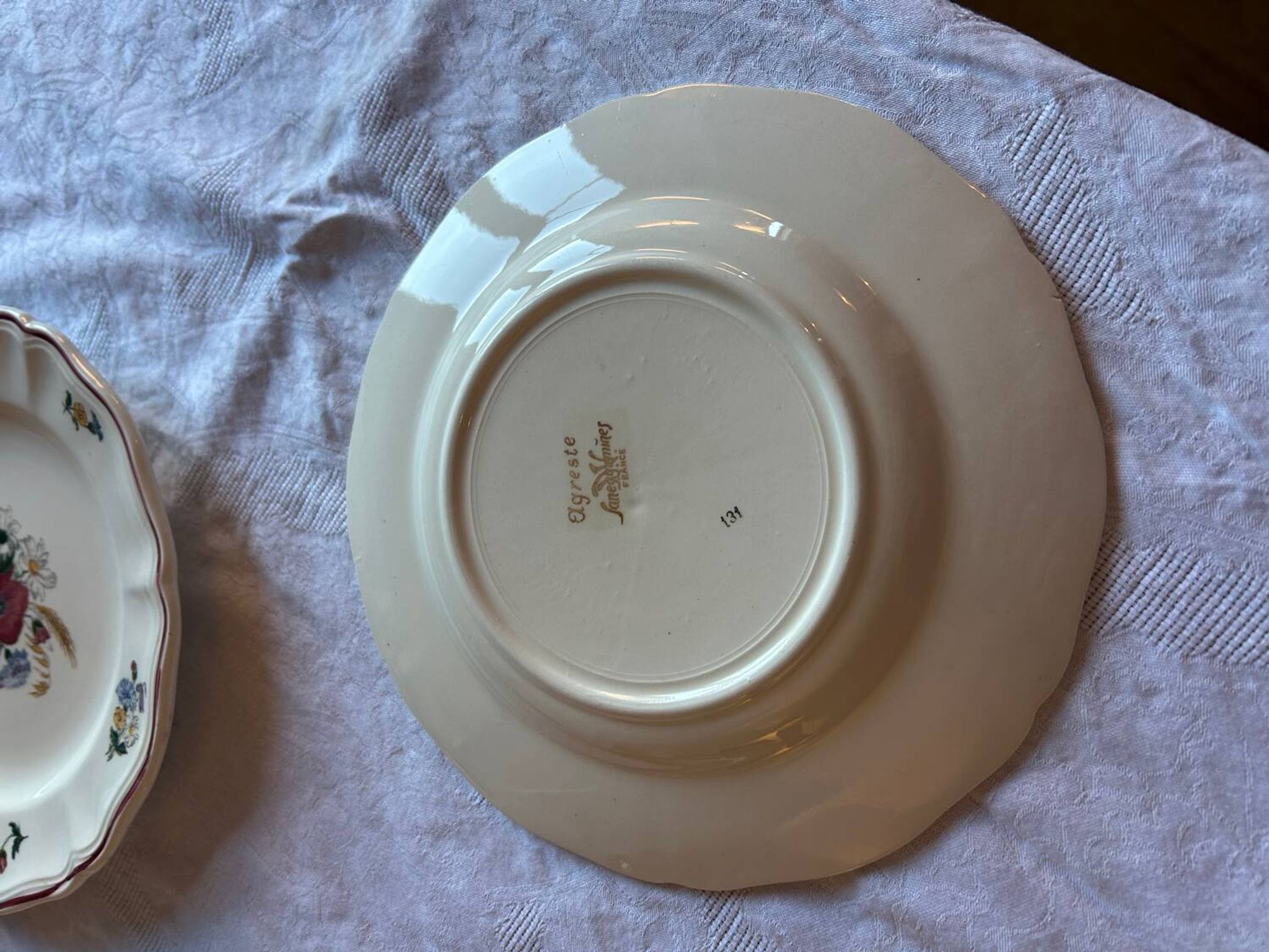 Set of 11 antique plates in Sarreguemines earthenware – Agre decoration