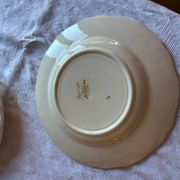 Set of 11 antique plates in Sarreguemines earthenware – Agre decoration