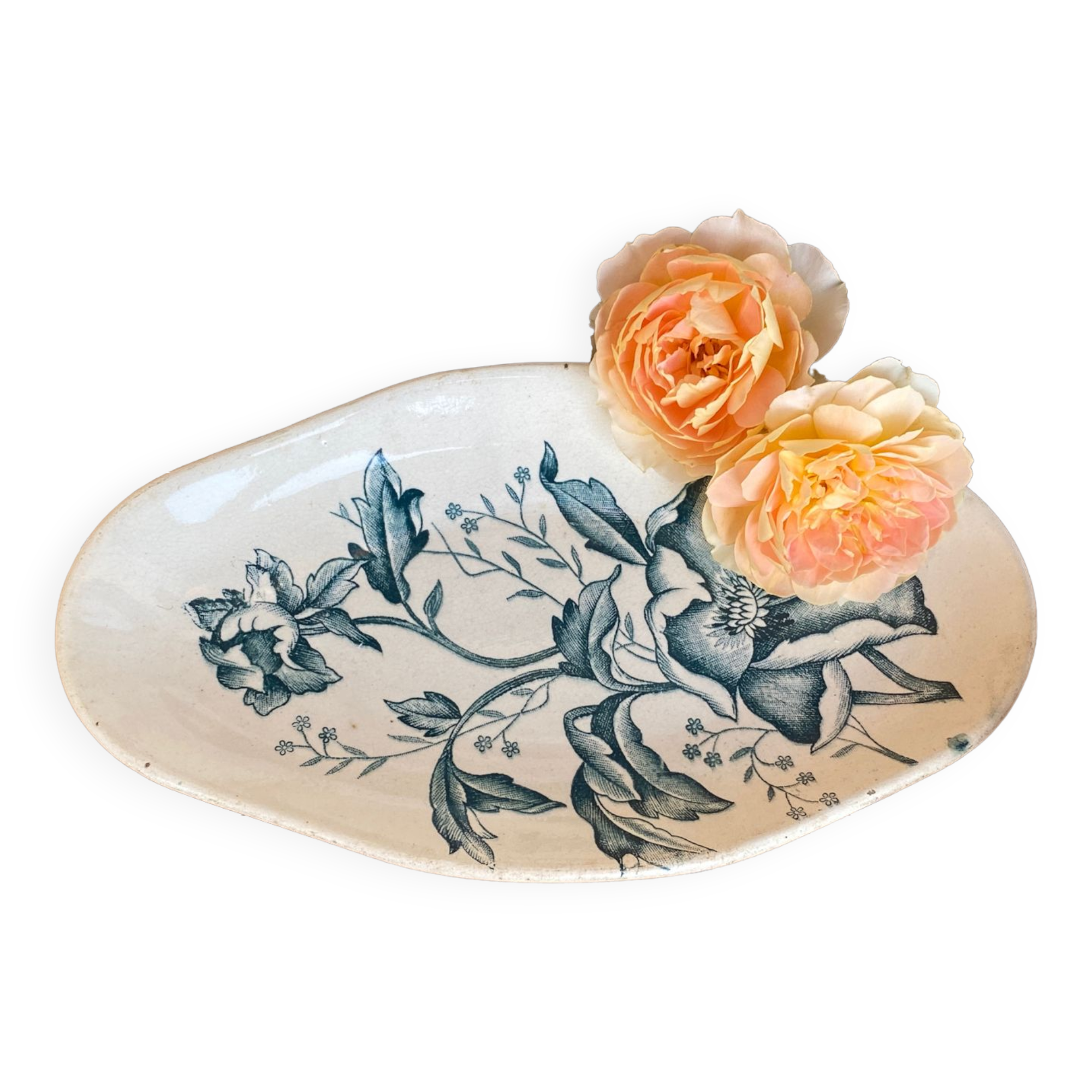 Iron earth ravier model "Christmas rose"