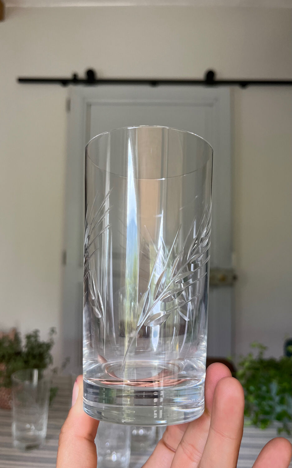 Crystal lenses pattern ears x6