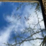 Miroir en bois et stuc doré