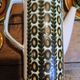 Boch la louvière – delta noix coffee service 1966 – vintage 25 pieces