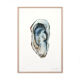 "Sacha" the oyster, art print 20/30cm