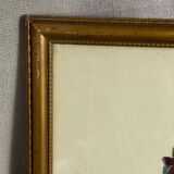 Botanical print, P-J Redouté, Bear's Ears