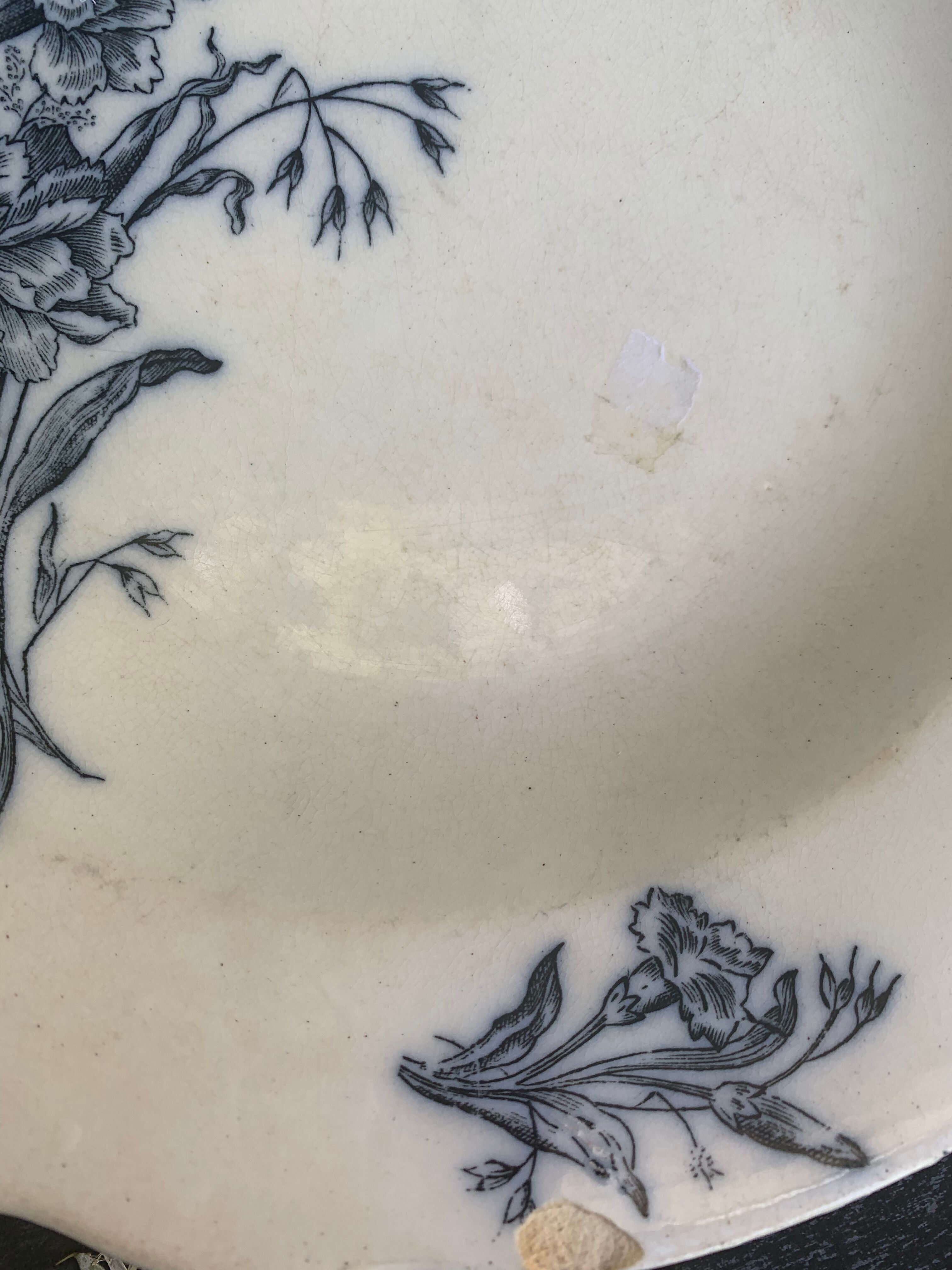 Hollow plate, fruit cup pattern carnations badonviller