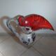 Zoomorphic vallauris ceramic pitcher