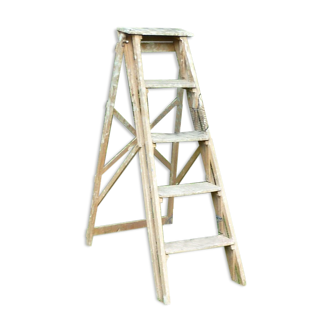 Painter's ladder