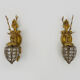 Pair of vintage wall lamps with pearl deer head and glass grapevines