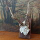 Pair of ancient hunting trophies, deer