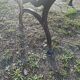 Banc de jardin