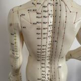 Model acupuncture