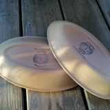 Pair of saline raviers