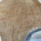 Antique cutting board