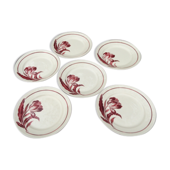 Assiettes plates Badonviller