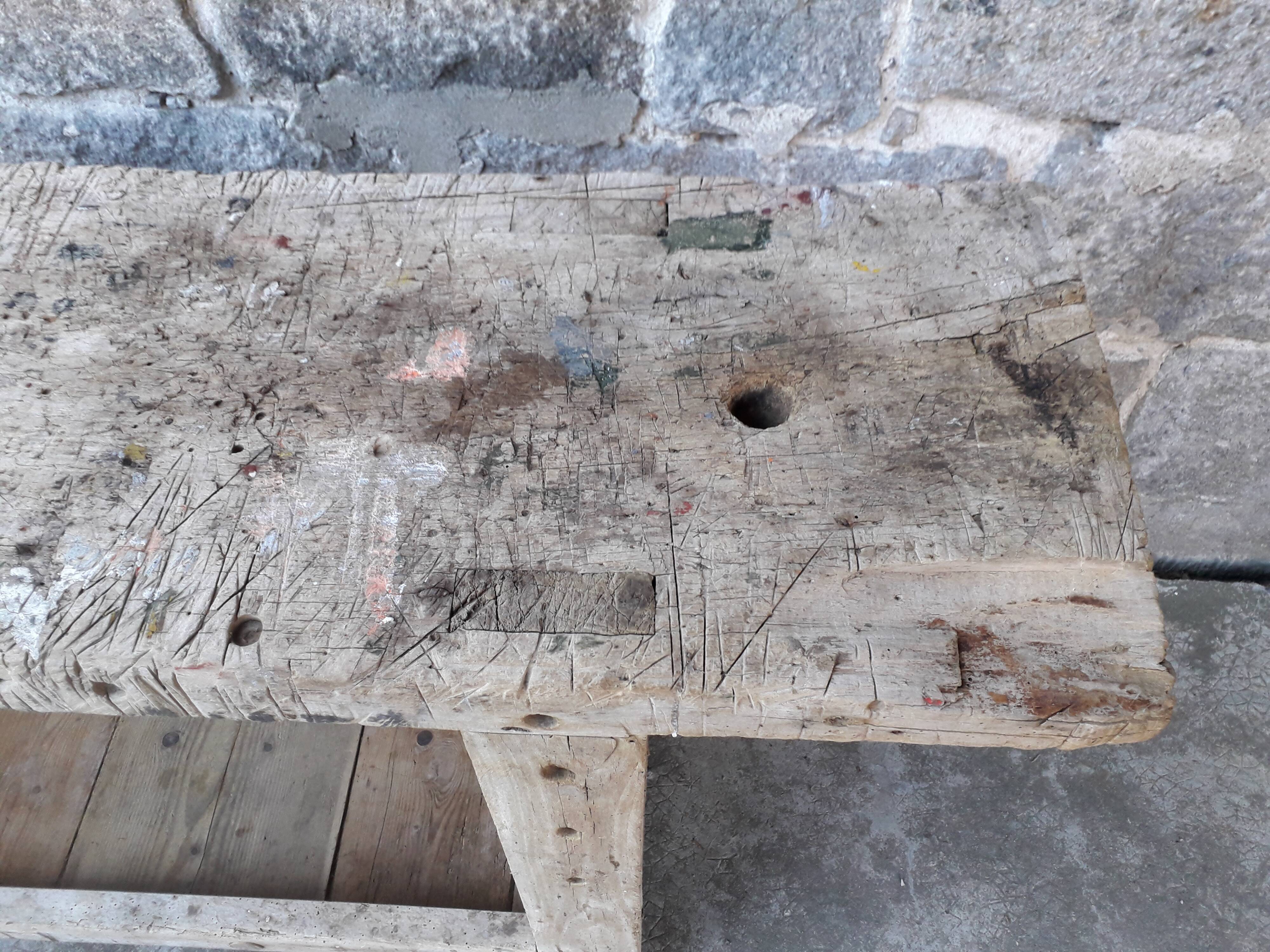 Old established 166 cm