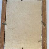 Ornithological frame “cage birds”.