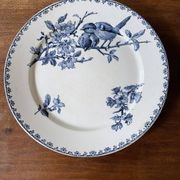 Flat plates Sarreguemines Iron Earth model Blue favorite